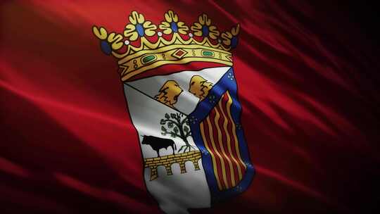 挥舞的萨拉曼卡国旗-西班牙