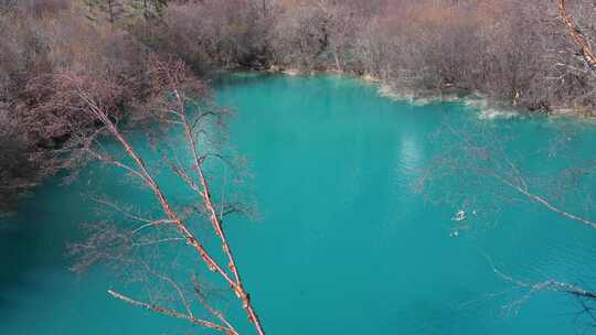 四川阿坝州九寨沟冬日山水