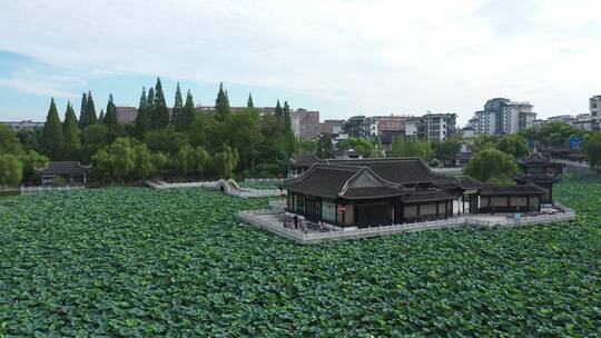 航拍扬州荷花池