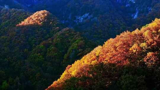 秦岭秋景