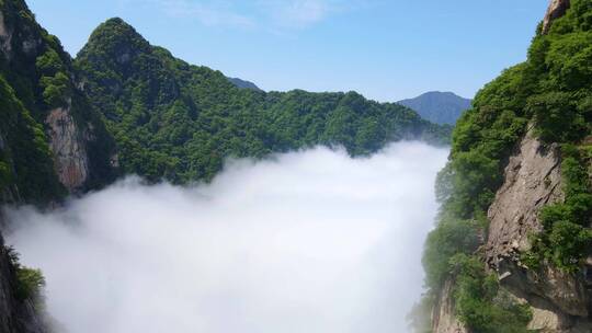 西安秦岭嘉午台航拍云海4k高清