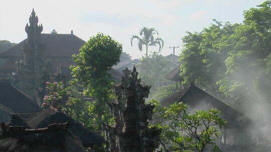 寺庙前的绿色树木