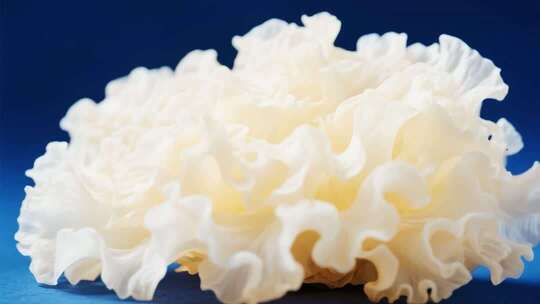 银耳微距特写食品素材