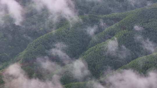 云雾原始森林大自然航拍