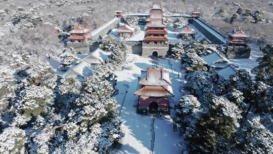 4K高清雾凇冰雪寒冷沈阳北陵公园雪景