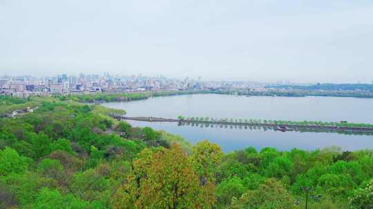 杭州西湖春天风景