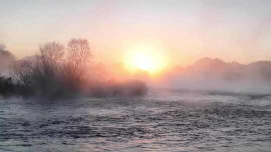 浓雾气河面芦苇唯美日出鸭子游水