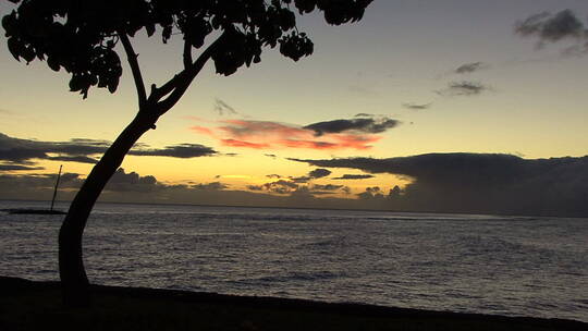毛伊岛日落景观