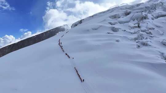 航拍冰川之父慕士塔格峰雪山冰川上的登山队