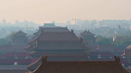 秋季清晨北京景山公园俯瞰故宫博物院晨雾