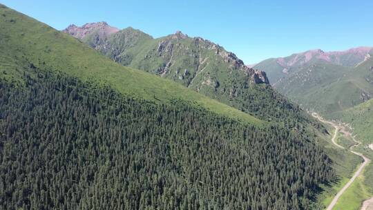 高山 深林 树木