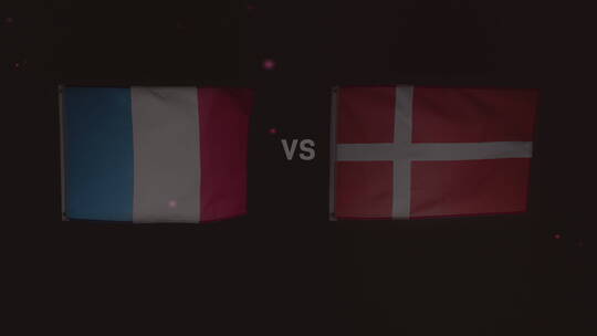 丹麦队对法国队的比赛
