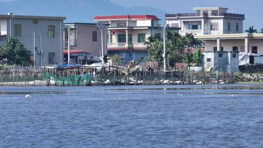 海南农村湿地乡村