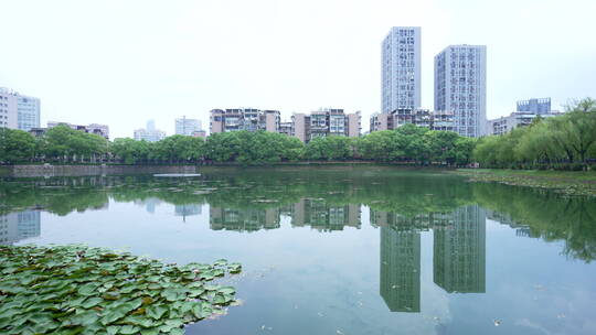 武汉汉口宝岛公园风景