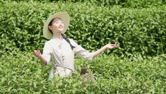 汉服古装采茶姑娘美女采茶美女茶农