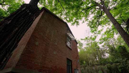八十年代老房子旧房子红砖房
