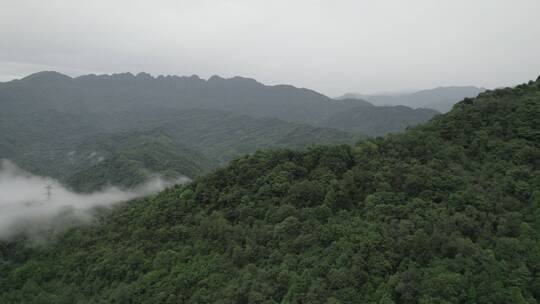 航拍四川清晨的大山森林云雾缭绕