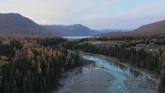 航拍新疆喀纳斯河秋景