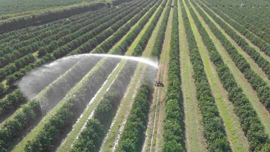 农业灌溉系统自动化农场农田洒水系统