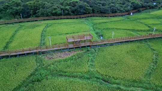 乡村田野风光鸟瞰全景