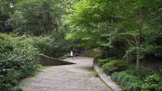 杭州西湖景区虎跑公园虎跑史话馆