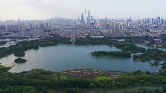 广州海珠湖湿地