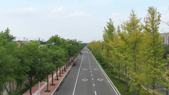 H076 航拍道路绿化