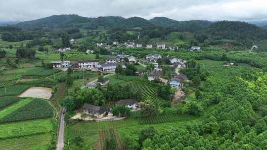 航拍贵州遵义湄潭山间田野乡村田园风光