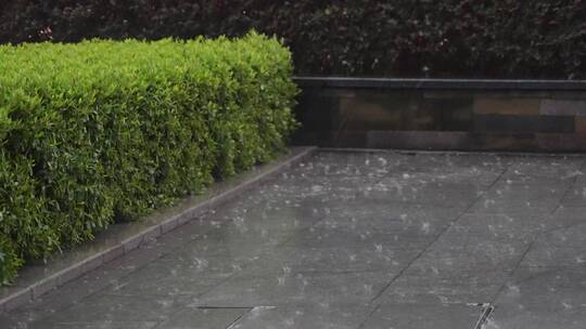 雨点打在花坛边空地上视频素材模板下载