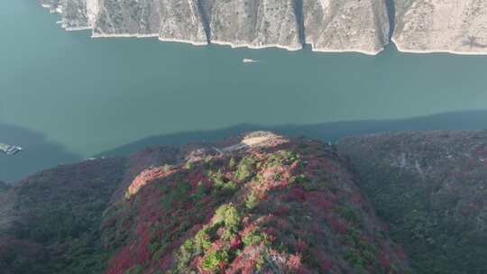 长江三峡巫峡红叶