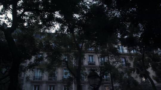 法国建筑物前的树木