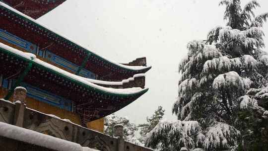 长沙岳麓书院雪景古建筑屋檐实拍