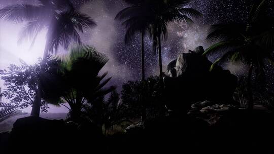 热带雨林上空的银河系视频素材模板下载