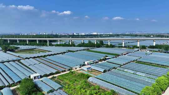 空中俯瞰温室大棚