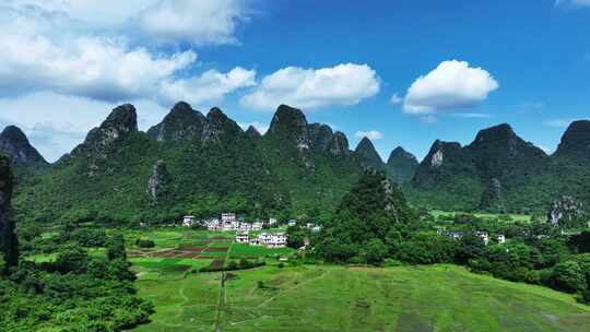 阳光下桂林山谷中的村庄和草地上的牛群