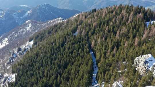 雪，山，林地，森林