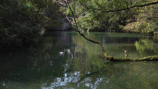 杭州西湖景区红栎山庄