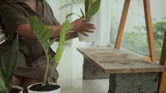 女人在家里的木架上放置盆栽室内植物