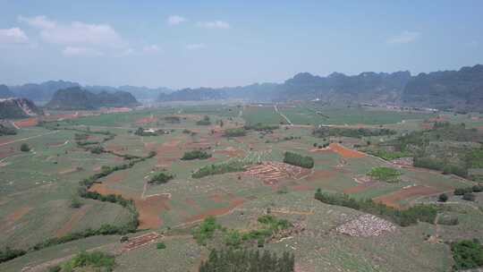 广西大面积甘蔗种植基地航拍