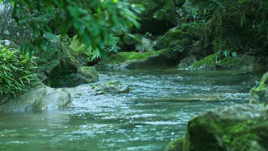 大自然溪水流水泉水阳光树叶生命源泉