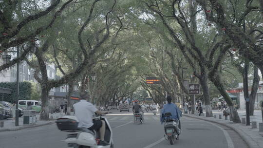 桂林市 桂林城区 桂林街道