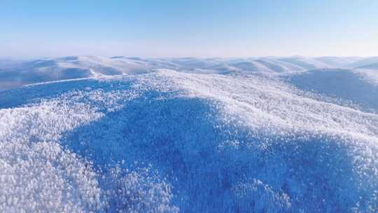 大兴安岭林海雪原冬季雾凇250113 (11)