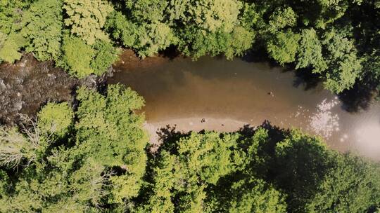 无人机航拍森林中的河流