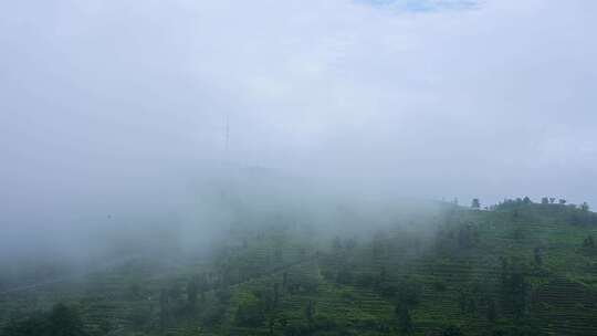 高山大山里的云雾