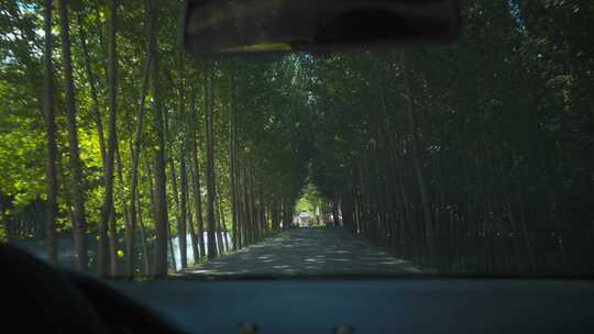 驾驶视角行驶在乡间颠簸的公路小道视频素材模板下载