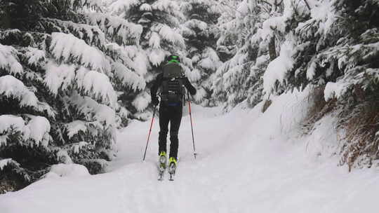 男子滑雪穿越白雪覆盖的森林视频素材模板下载