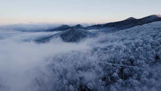 航拍冬天雪松雪山高山烟雾缭绕_4K