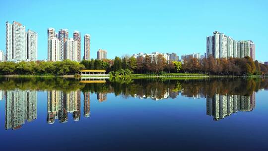 深圳洪湖公园水倒影树木城市建筑E