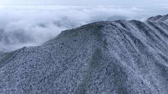 浙江丽水遂昌白马山森林公园4K云海雪景航拍