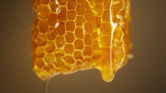 天然蜂蜜视频素材模板下载